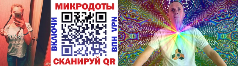 Псилоцибиновые грибы Psilocybine cubensis  Хадыженск 
